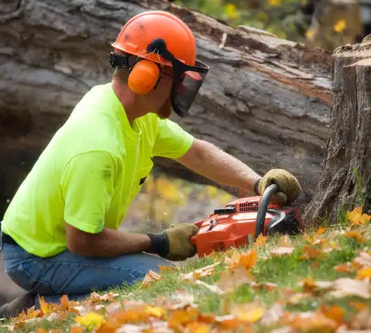 tree services Wahpeton